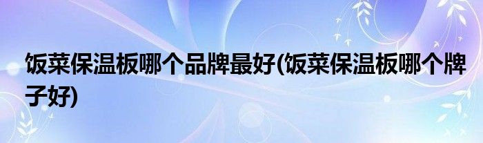 饭菜保温板哪个品牌最好(饭菜保温板哪个牌子好)