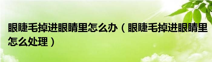 眼睫毛掉进眼睛里怎么办(眼睫毛掉进眼睛里怎么处理)