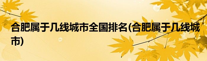 合肥属于几线城市全国排名(合肥属于几线城市)