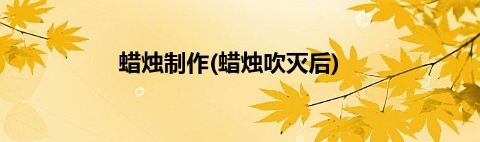 蜡烛制作(蜡烛吹灭后)