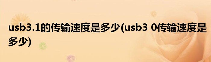 usb3.1的传输速度是多少(usb3 0传输速度是多少)