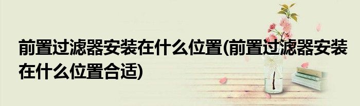 前置过滤器安装在什么位置(前置过滤器安装在什么位置合适)