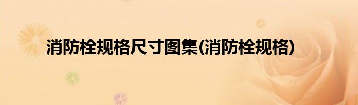 消防栓规格尺寸图集(消防栓规格)