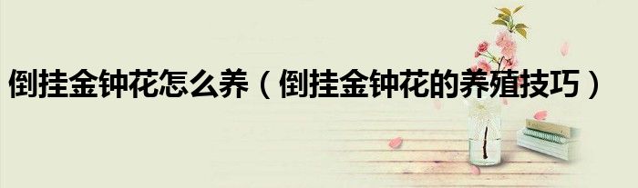倒挂金钟花怎么养(倒挂金钟花的养殖技巧)