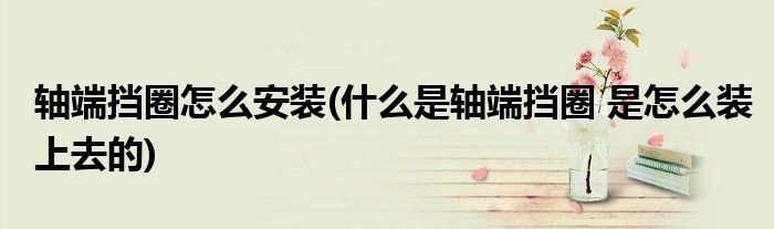 轴端挡圈怎么安装(什么是轴端挡圈 是怎么装上去的)