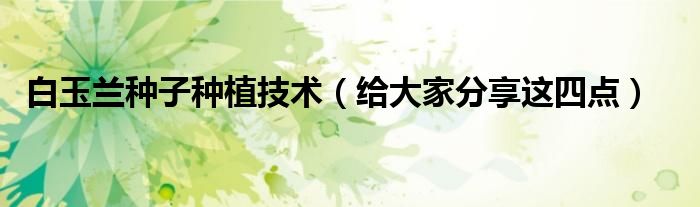 白玉兰种子种植技术(给大家分享这四点)