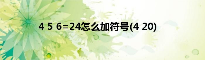 4 5 6=24怎么加符号(4 20)