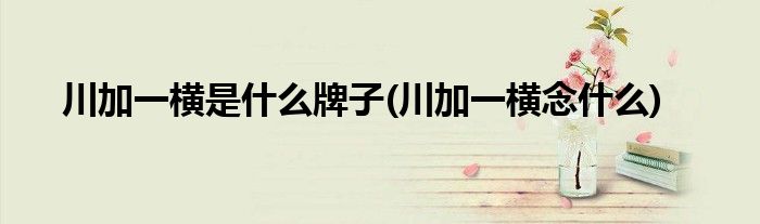 川加一横是什么牌子(川加一横念什么)