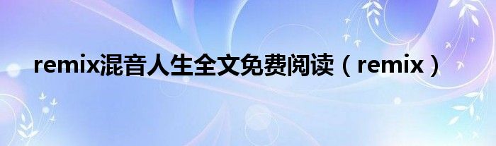 remix混音人生全文免费阅读(remix)