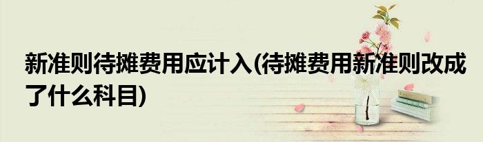 新准则待摊费用应计入(待摊费用新准则改成了什么科目)