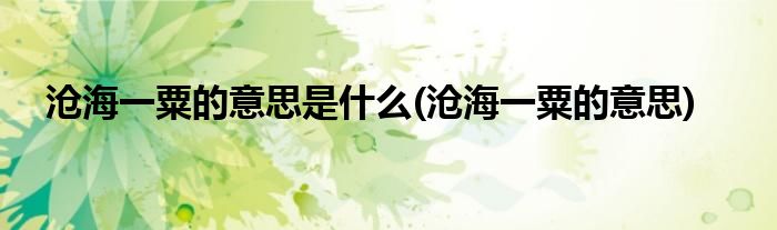 沧海一粟的意思是什么(沧海一粟的意思)