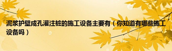 泥浆护壁成孔灌注桩的施工设备主要有(你知道有哪些施工设备吗)
