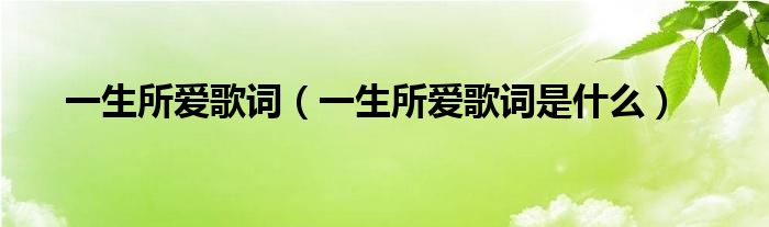 一生所爱歌词(一生所爱歌词是什么)