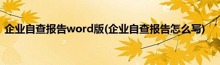 企业自查报告word版(企业自查报告怎么写)