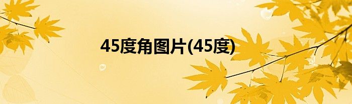 45度角图片(45度)