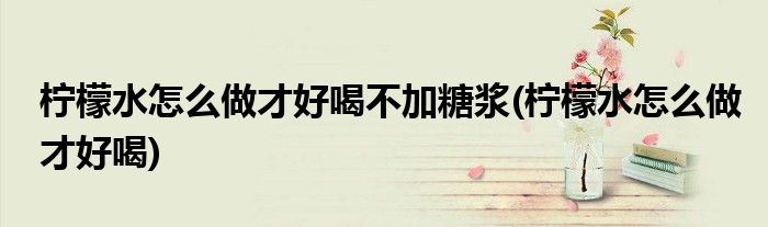 柠檬水怎么做才好喝不加糖浆(柠檬水怎么做才好喝)