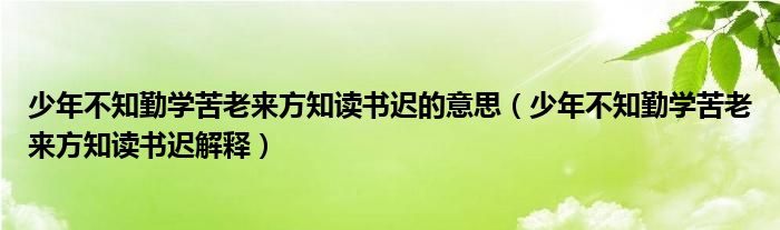 少年不知勤学苦老来方知读书迟的意思(少年不知勤学苦老来方知读书迟解释)