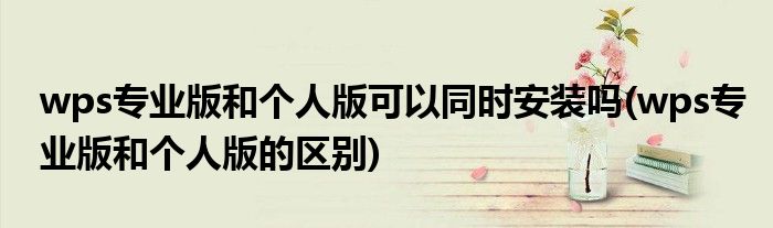wps专业版和个人版可以同时安装吗(wps专业版和个人版的区别)