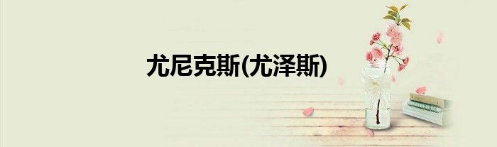 尤尼克斯(尤泽斯)