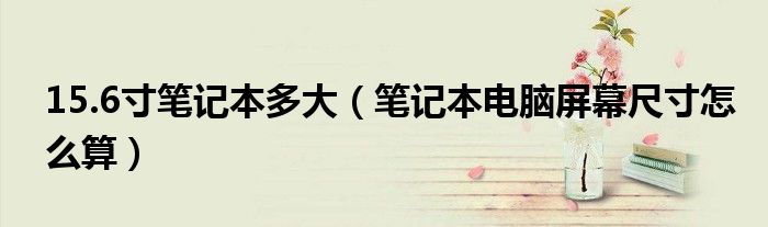 15.6寸笔记本多大(笔记本电脑屏幕尺寸怎么算)