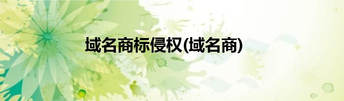 域名商标侵权(域名商)