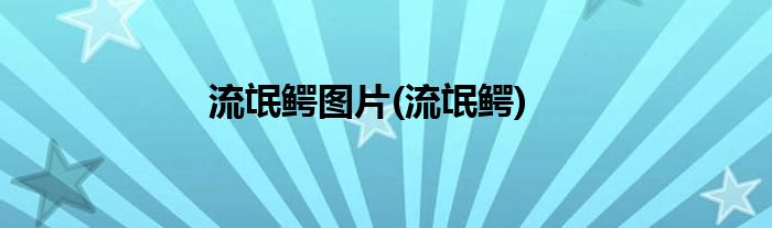 流氓鳄图片(流氓鳄)