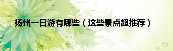 扬州一日游有哪些(这些景点超推荐)