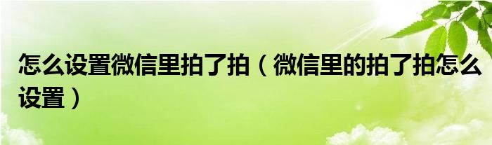 怎么设置微信里拍了拍(微信里的拍了拍怎么设置)