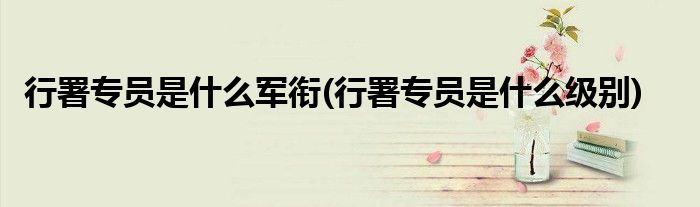 行署专员是什么军衔(行署专员是什么级别)