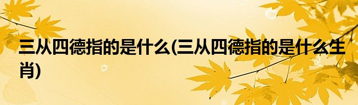 三从四德指的是什么(三从四德指的是什么生肖)