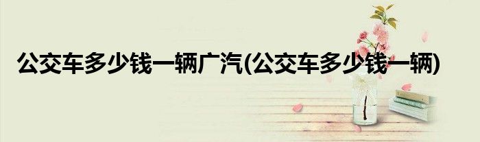 公交车多少钱一辆广汽(公交车多少钱一辆)