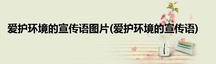 爱护环境的宣传语图片(爱护环境的宣传语)