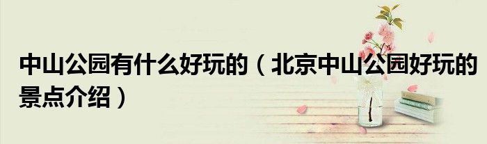 中山公园有什么好玩的(北京中山公园好玩的景点介绍)