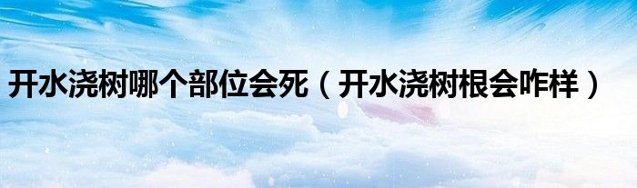 开水浇树哪个部位会死(开水浇树根会咋样)
