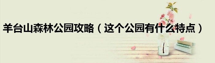 羊台山森林公园攻略(这个公园有什么特点)