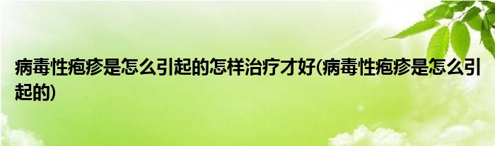 病毒性疱疹是怎么引起的怎样治疗才好(病毒性疱疹是怎么引起的)