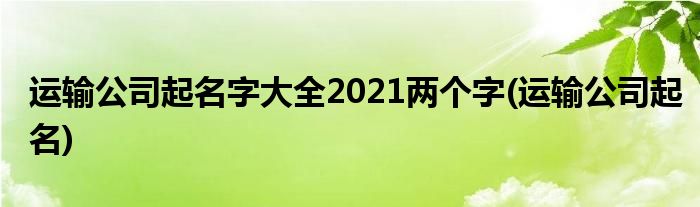 运输公司起名字大全2021两个字(运输公司起名)