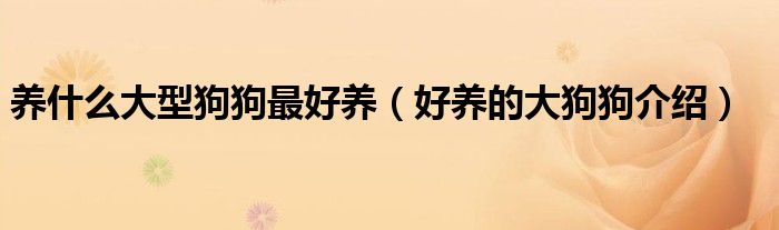 养什么大型狗狗最好养(好养的大狗狗介绍)