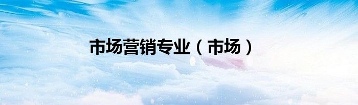 市场营销专业（市场）