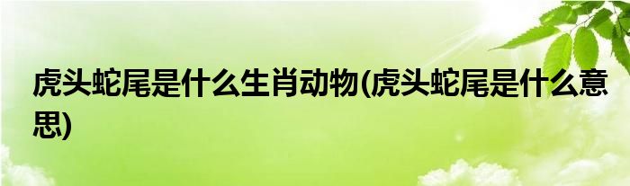 虎头蛇尾是什么生肖动物(虎头蛇尾是什么意思)