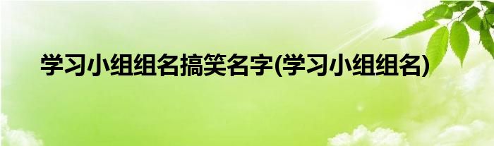 学习小组组名搞笑名字(学习小组组名)
