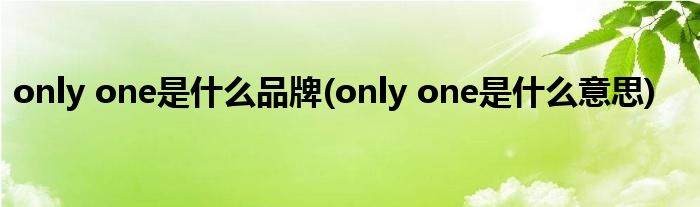 only one是什么品牌(only one是什么意思)