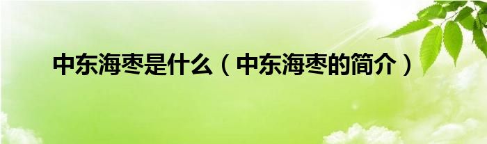 中东海枣是什么(中东海枣的简介)