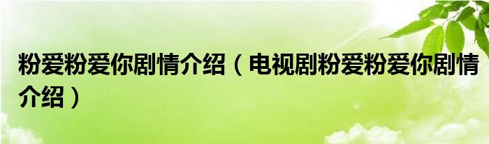 粉爱粉爱你剧情介绍(电视剧粉爱粉爱你剧情介绍)
