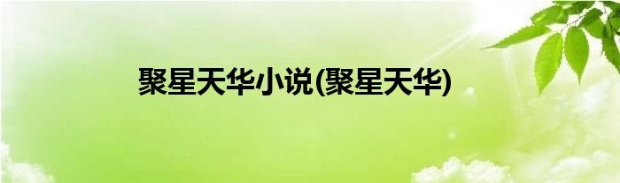 聚星天华小说(聚星天华)