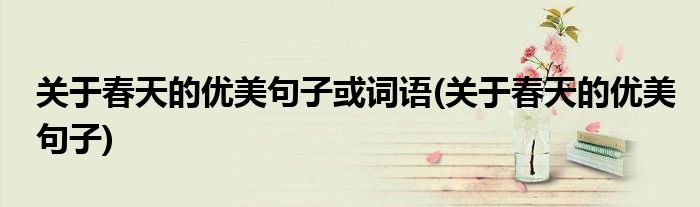 关于春天的优美句子或词语(关于春天的优美句子)