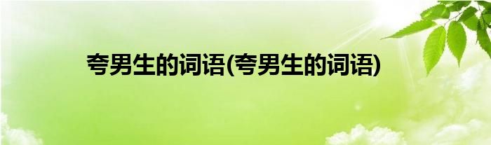 夸男生的词语(夸男生的词语)