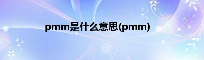 pmm是什么意思(pmm)