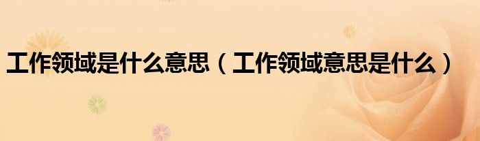 工作领域是什么意思(工作领域意思是什么)