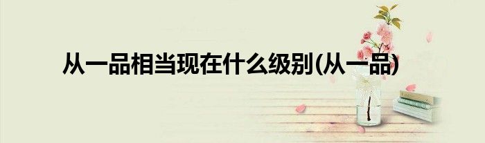 从一品相当现在什么级别(从一品)